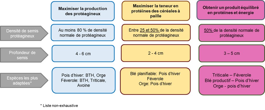 Elaboration d'une association céréales-protéagineux en fonction des objectifs.