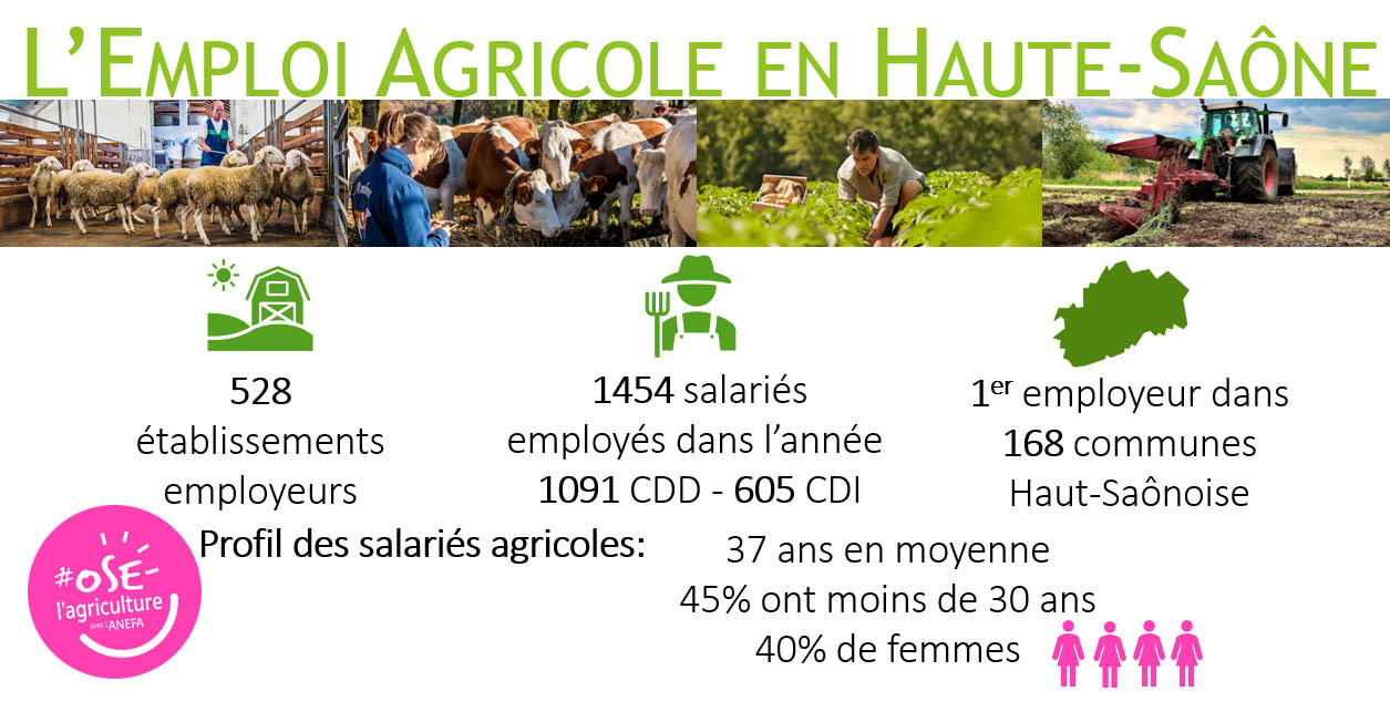 L'emploi agricole en Haute-Saône en quelques chiffres.