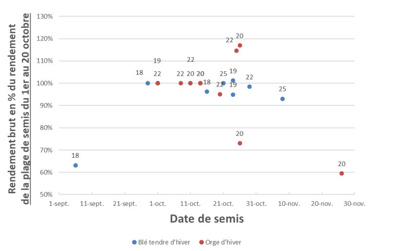Figure 1 : Rendement d’un semis décalé en fonction de la date de semis précoce (1er au 20 octobre) sur blé tendre d'hiver et orge d'hiver dans les essais ARVALIS (8 essais de 2017 à 2025) Figure 1 : Rendement d’un semis décalé en fonction de la date de semis précoce (1er au 20 octobre) sur blé tendre d'hiver et orge d'hiver dans les essais ARVALIS (8 essais de 2017 à 2025)
