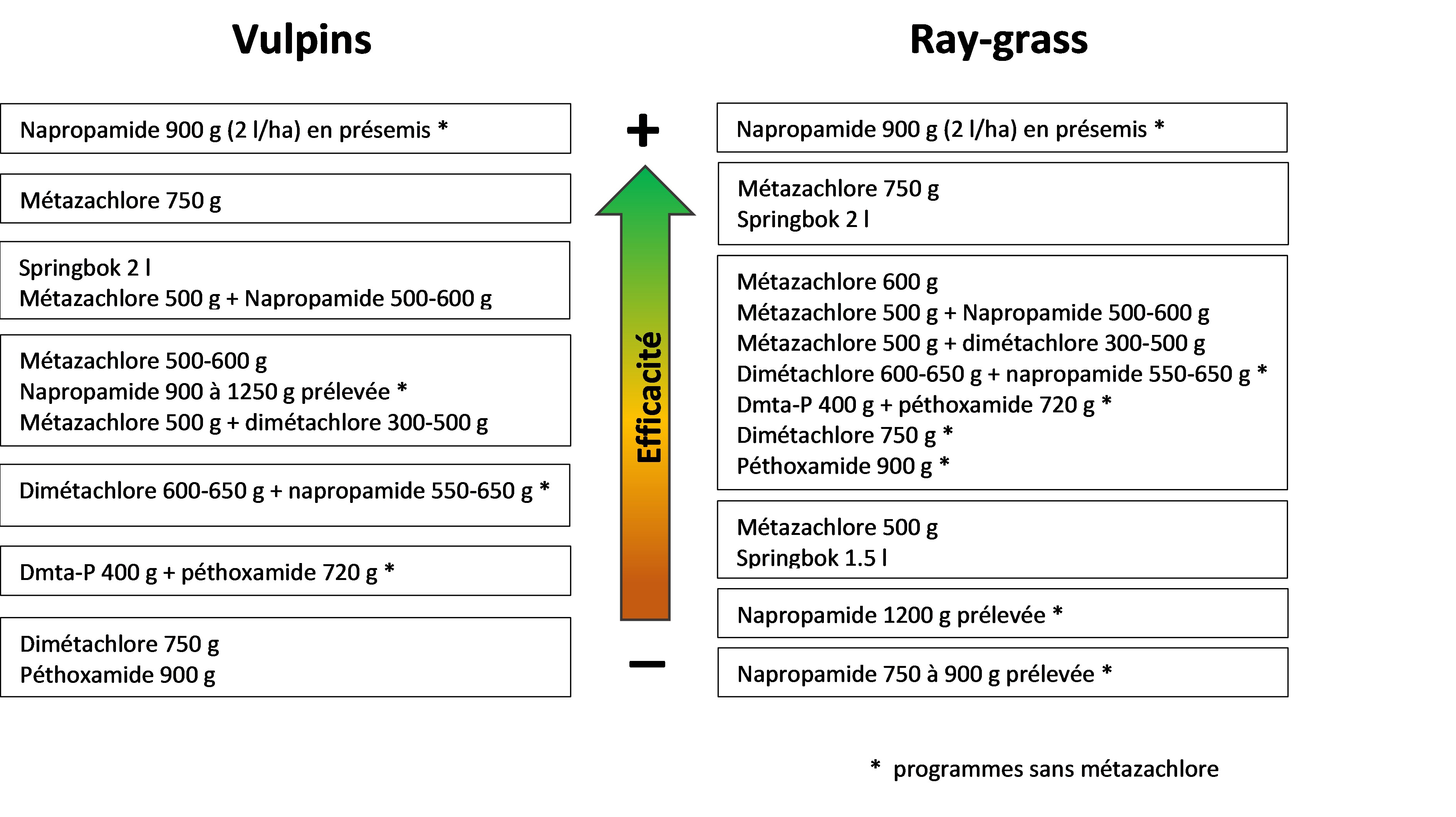 Synthèse des efficacités sur vulpins et ray-grass des applications au semis (essais de Terres Inovia)