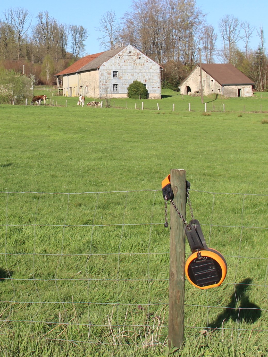 Le Gaec Menigoz vient d'investir dans 20 colliers de clôture virtuelle et a commencé à tester cette nouvelle technologie. Crédit photo : AC