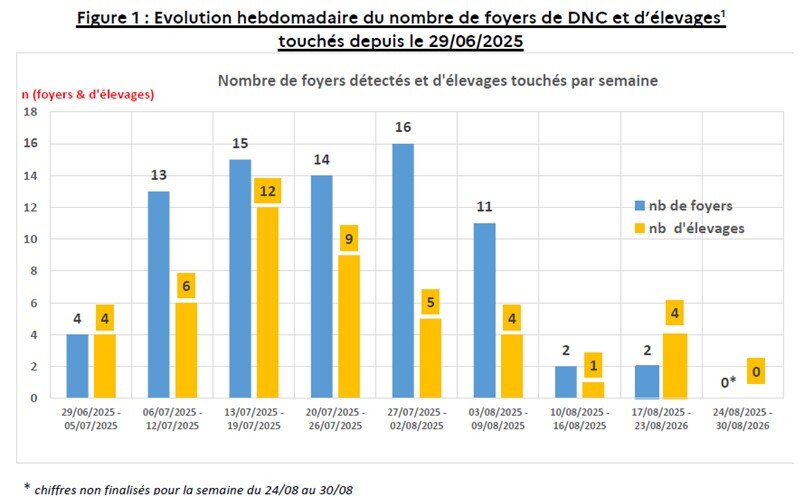 La dynamique épidémique semble ralentir.