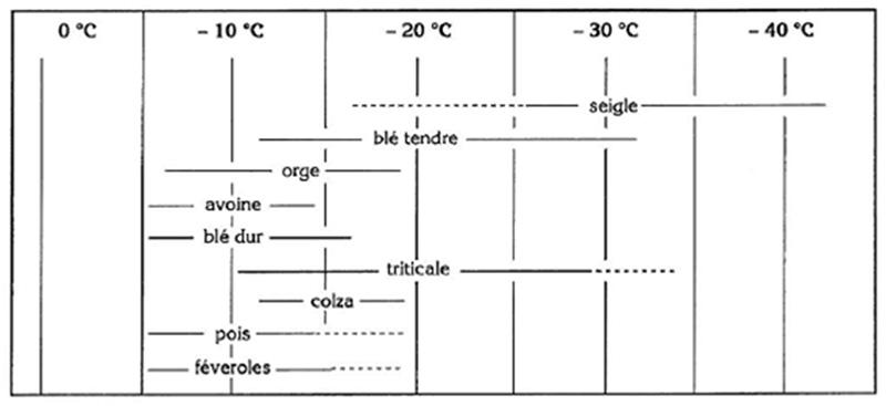 Figure 1 : Niveaux maxima de résistances au froid et variabilité génétique chez différentes espèces.