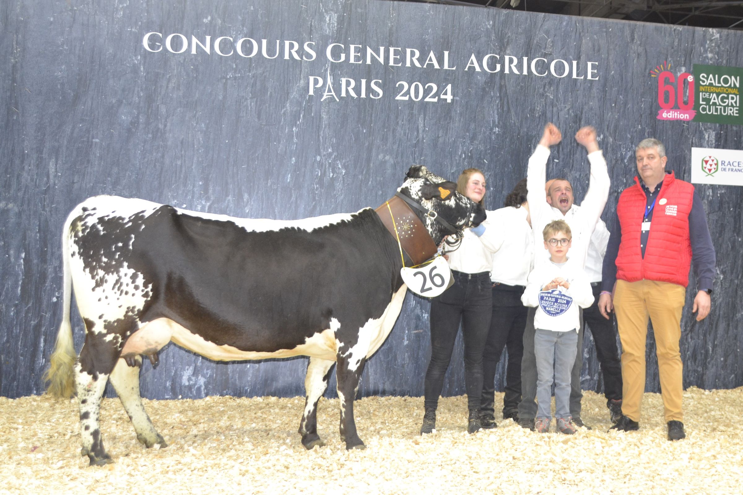 Praline (Dartagnan sur Gangster) est la meilleure mamelle du concours de la race vosgienne : elle appartient à l’Earl de la Chapelle des Vés, également dans les Vosges. Crédit photo : A.Coronel