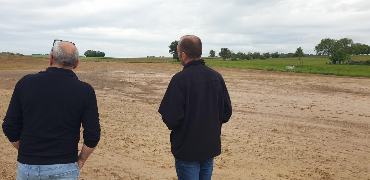 Les présidents de la FDSEA et de la Chambre d'agriculture se sont rendus à Fouchécourt pour un état des lieux. Crédit photo : AL