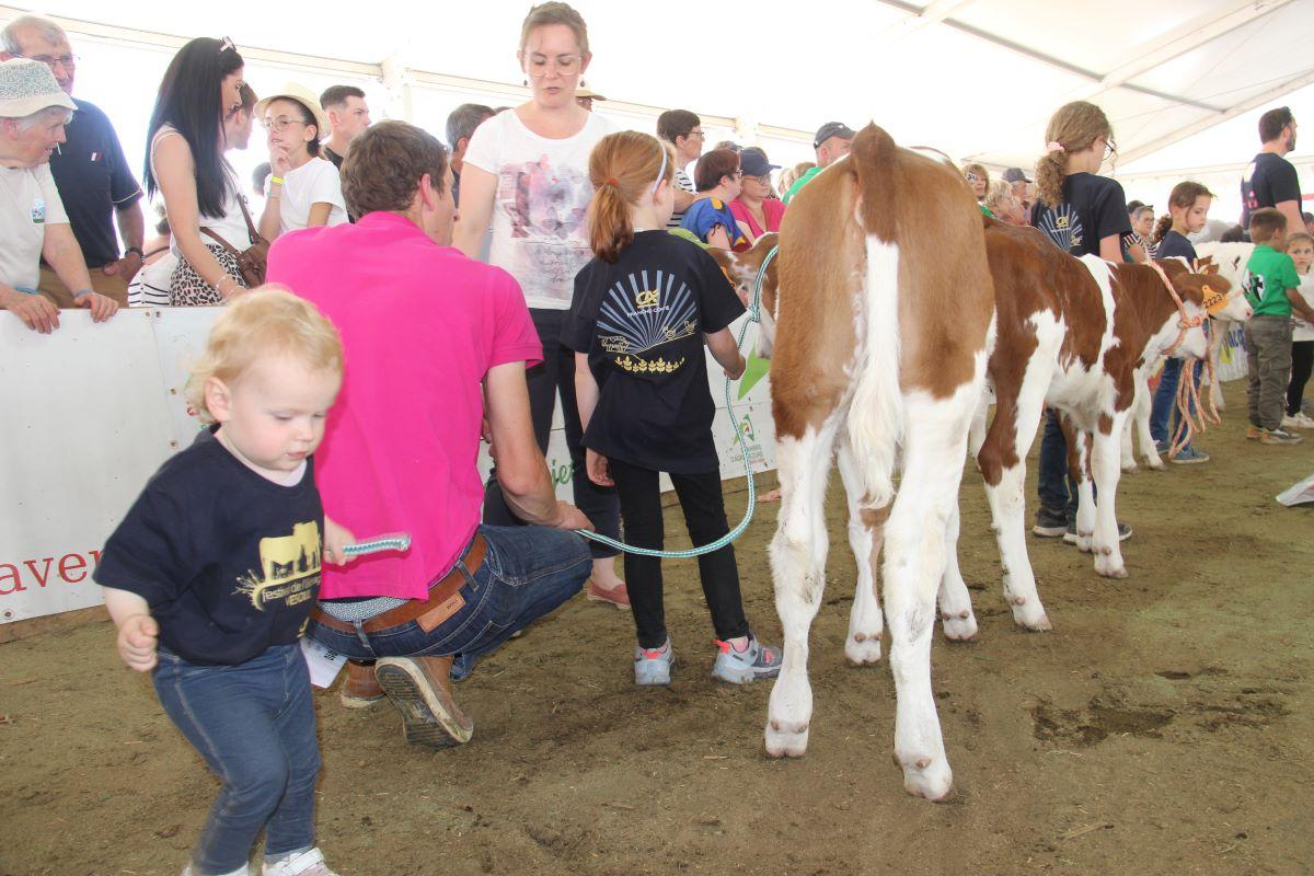 La présentation de veaux par les enfants est toujours très émouvante. Crédit photo : AC La présentation de veaux par les enfants est toujours très émouvante. Crédit photo : AC