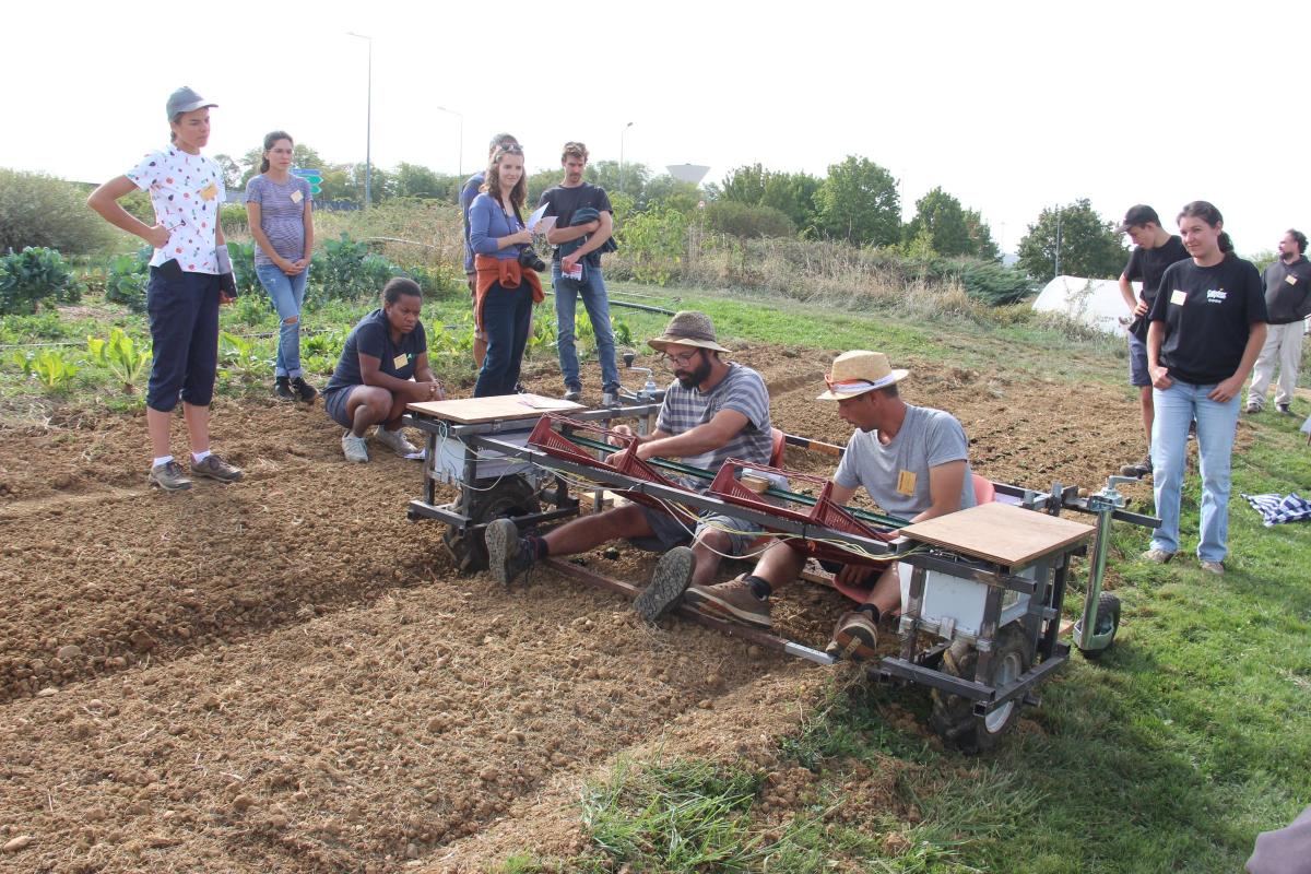 Ce chariot mu par deux moteurs de fauteuil roulant facilite les tâches de repiquage des mottes, puisqu’il permet de travailler en position assise en limitant les contraintes pour le dos. Crédit photo : A.Coronel