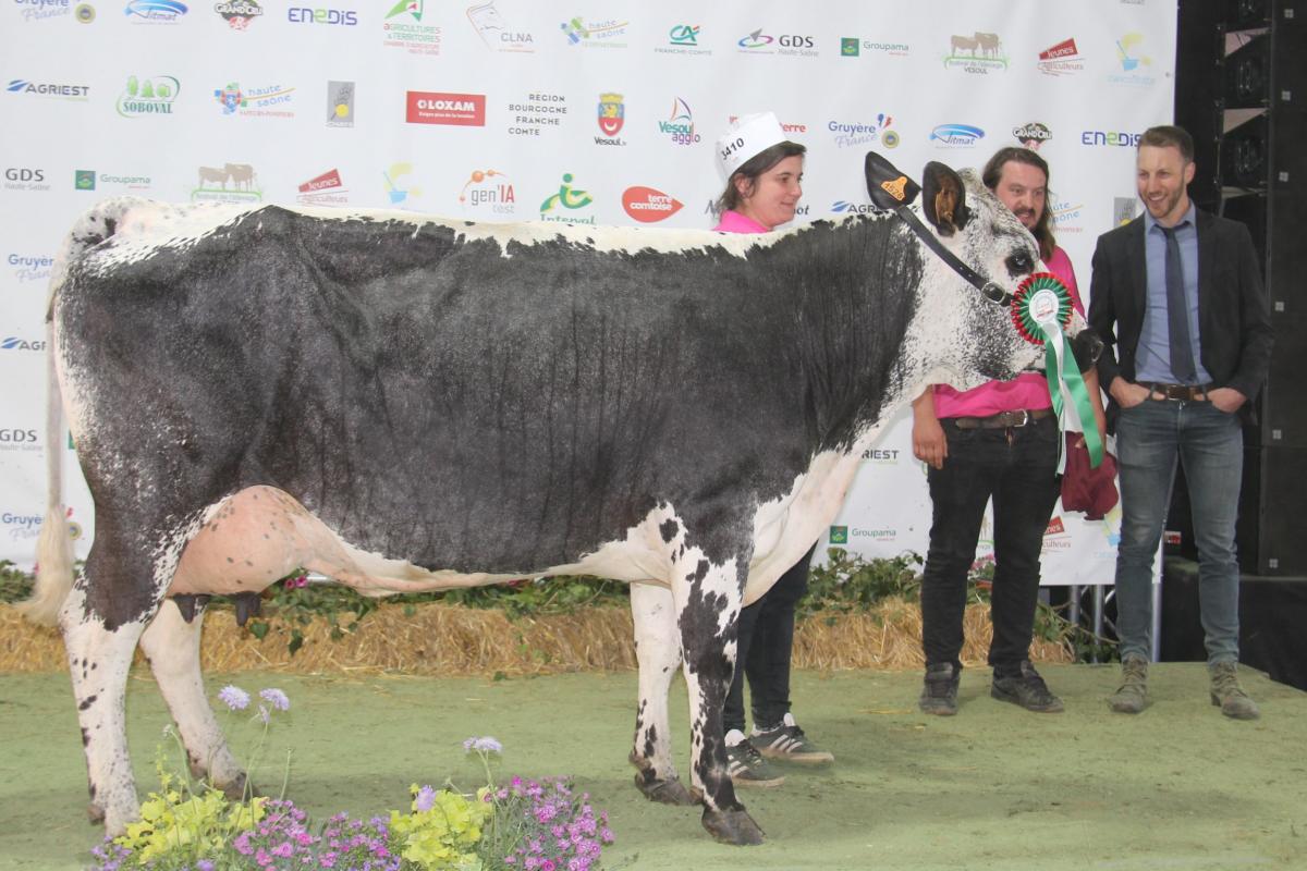 Iynot (Tintin sur Lancelot) au Gaec du Vacceux est réserve du championnat de la race vosgienne