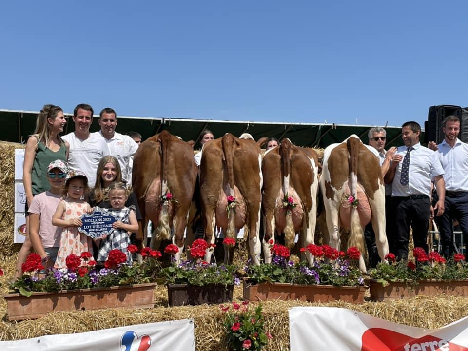 Le Gaec Besançon Marsot a remporté le prix du plus beau lot d'élevage dans la catégorie montbéliard