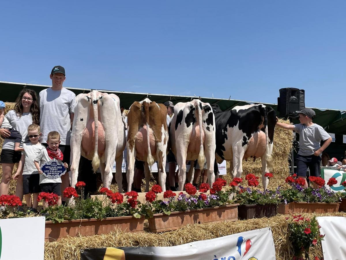 Lot d’élevage Holstein est remporté par le Gaec des Clochettes à la Demie