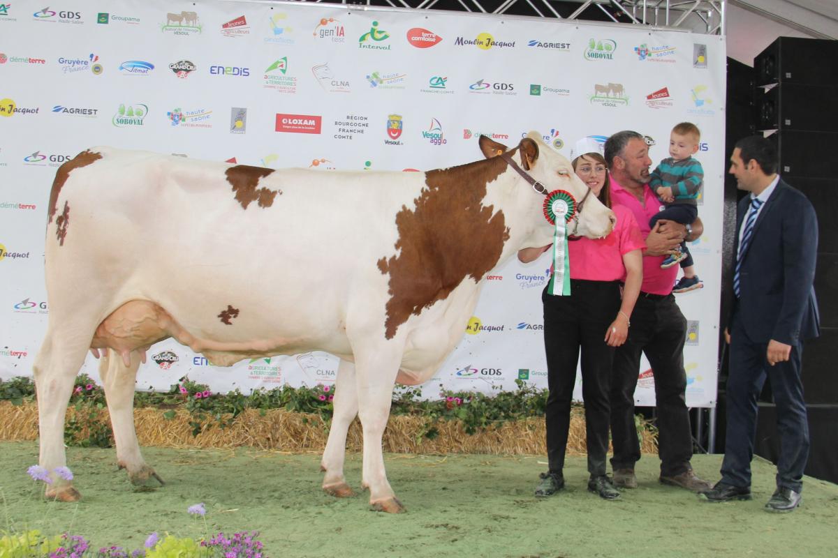 Naya (Langevin sur Homygod) au Gaec Brie de Melecey est réserve de championnat jeune en race montbéliarde