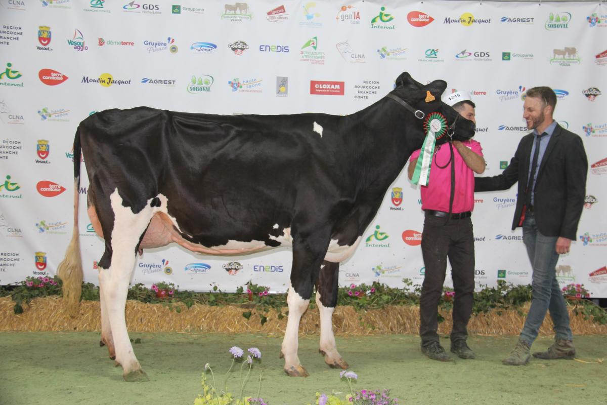 Pixi Vénus (Crushtime sur Goldwin), du Gaec Gutknecht, championne espoir et réserve grande championne holstein 2022