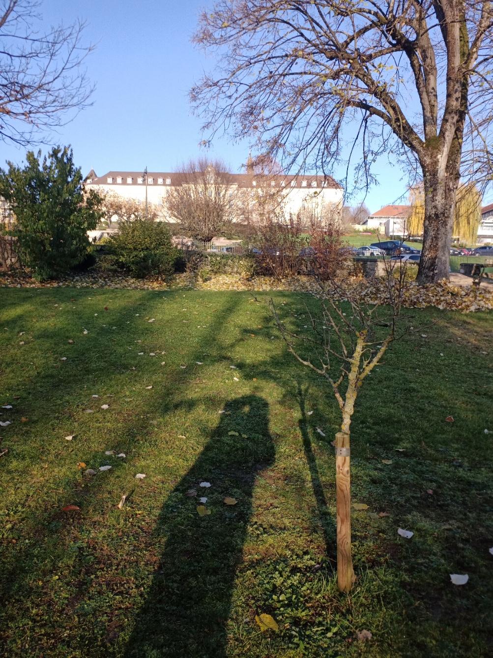 Le côteau ensoleillé qui jouxte l’ancien hôpital de Vesoul abritait au XIXème siècle le splendide verger fruitier du séminaire.