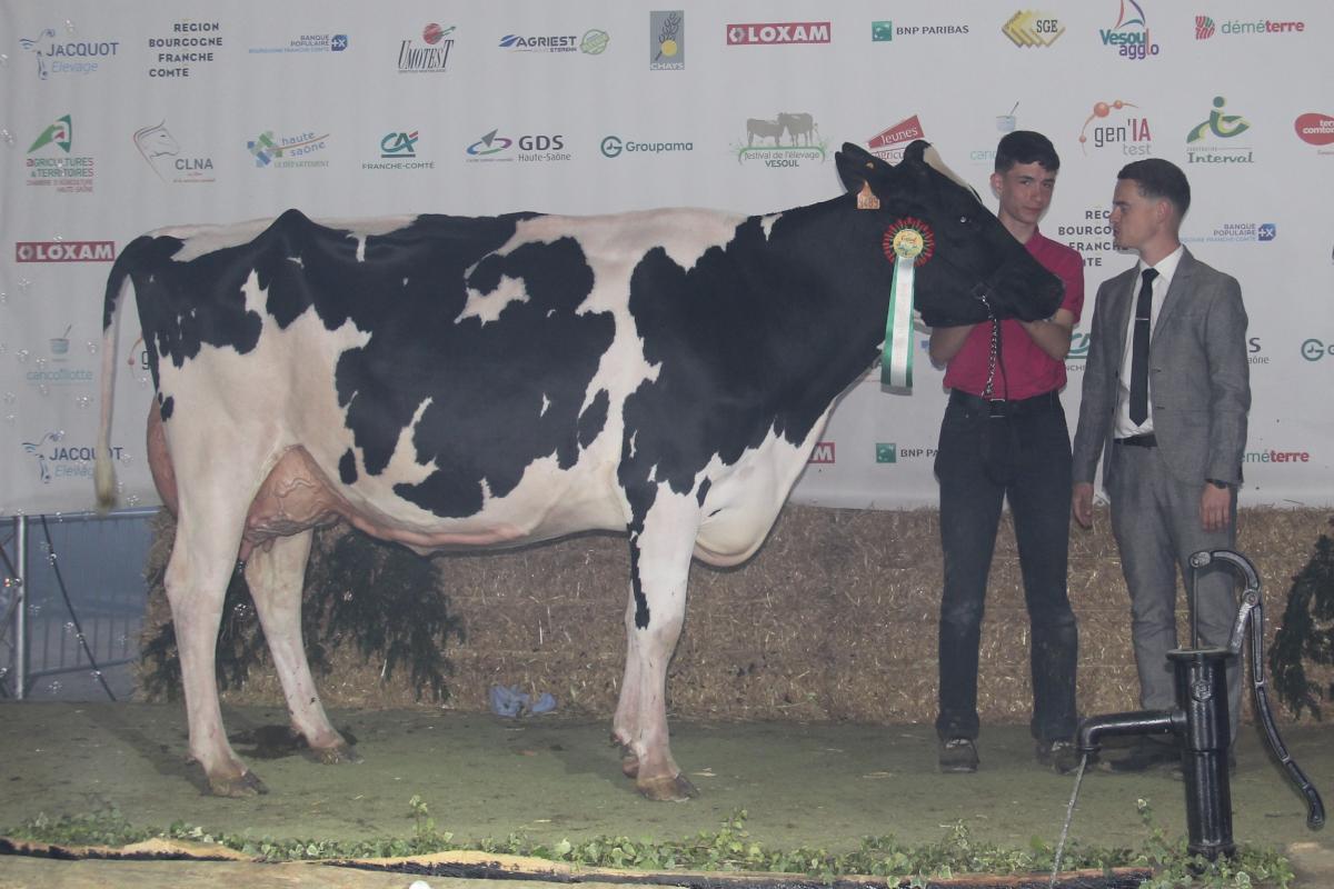 Championne adulte et réserve grande championne holstein : 074 Rihann (Oxford × Goastel) – GAEC Gaumet, à Bougey. Crédit photo : AC Championne adulte et réserve grande championne holstein : 074 Rihann (Oxford × Goastel) – GAEC Gaumet, à Bougey. Crédit photo : AC