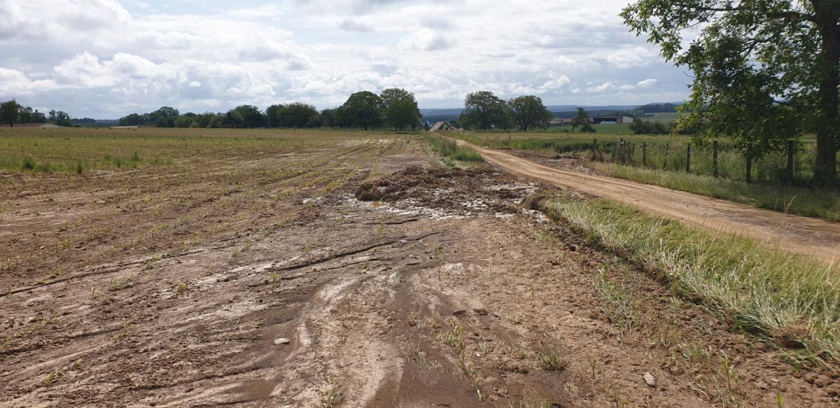 Le ruissellement s'est transformé par endroits en coulées de boue. Crédit photo : AL