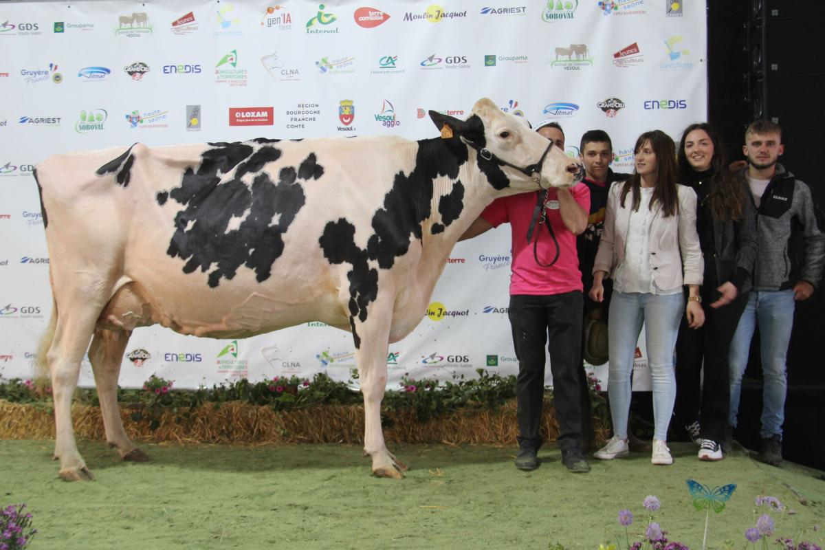 Tour Malya (Fitz Toc sur G Dreams), au Gaec du Champs de la Tour, remporte le titre de grande championne holstein