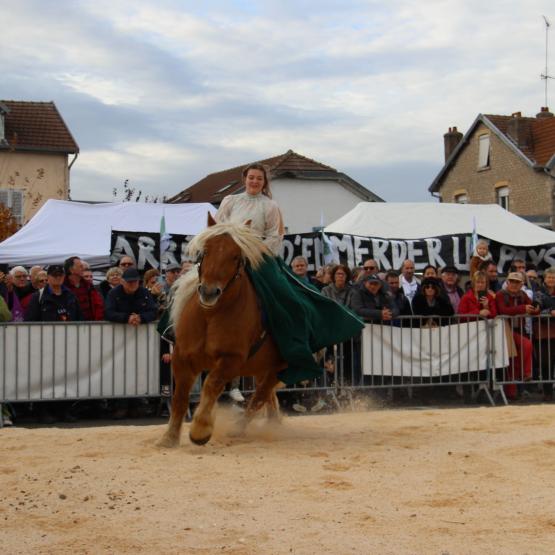 Pauline Chauvet avec sa jument comtoise Hanane, lors du spectacle donné place Rénet. Crédit photo : A.Coronel