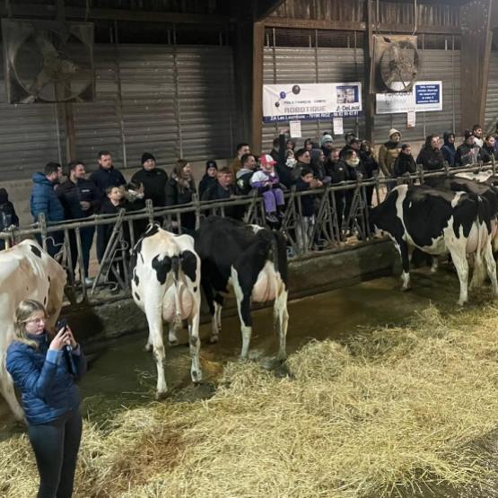 Le pointage prim'holstein organisé fin novembre par la JET70 a été un succès. Crédit photo JET70