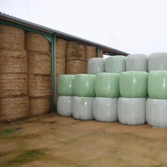 Face au déficit fourrager, l’ajustement de la ration et du troupeau doit s’anticiper. Plus les mesures sont prises tôt, moins elles seront douloureuses. Crédit photo : Idele
