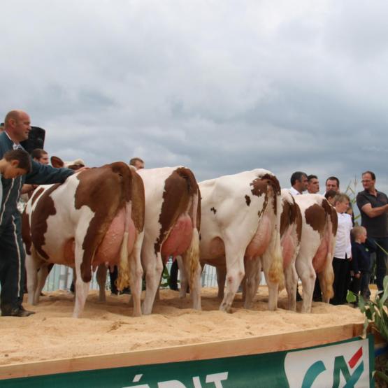  Le centre d’élevage Scey-sur-Saône a remporté le challenge intercentre. Photo : A.Coronel