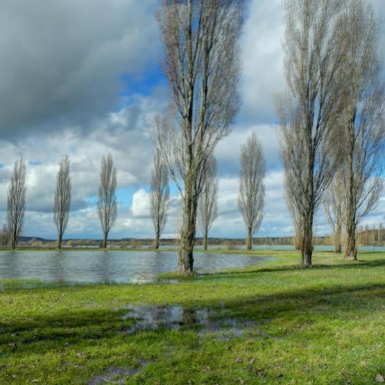 Le lac de Vaivre accueille de nombreux oiseaux des zones humides. Crédit photo : Thomas Bresson