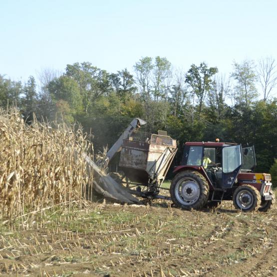 La Convention Collective Nationale (CCN) de production agricole et des CUMA, mise en place en septembre 2020, vise à harmoniser les conditions de travail en milieu agricole. Crédit photo : A.Coronel