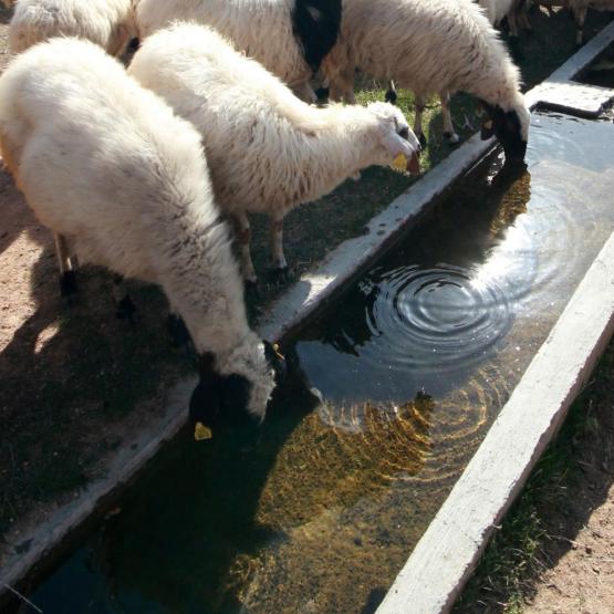 Pour une analyse d'eau, compter entre 100 à 200 € selon les paramètres analysés et les laboratoires. 