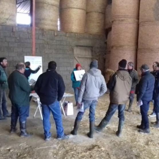 En 2024, l'AFPASA n'a dispensé que 115 jours de formation, un chiffre en net recul par rapport à 2023 (147 journées). Crédit photo : AFPASA