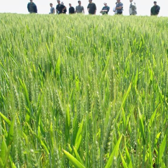 L'implication dans une démarche collective, selon des critères bien précis, sera prise en compte pour accéder à une revalorisation de la DJA. Crédit photo : AC