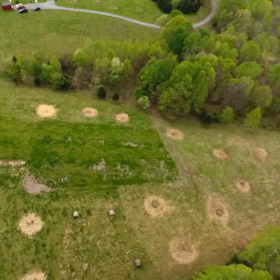 Une attention particulière doit être apportée à la qualité des fourrages proposés.