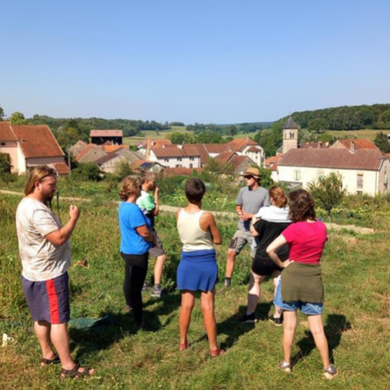 Les légumes d'été ont parfois souffert de la sécheresse de juin 2025. Crédit photo : Charly Stoehr
