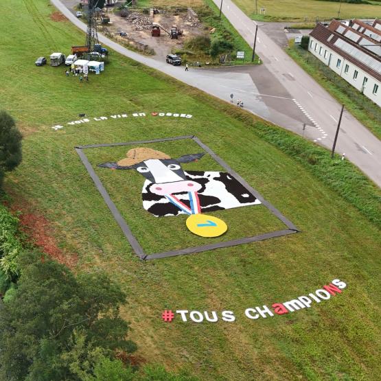 Chaque année, les agriculteurs rivalisent d'inventivité pour mettre leurs activités à l'honneur dans des fresques éphémères, à l'occasion du passage des tours cyclistes.