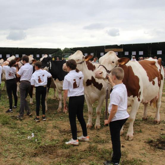 Moments de convivialité et d’émotion partagés entre éleveurs, les comices sont aussi un lieu de transmission de la passion de l’élevage... Crédit photo : A.Coronel
