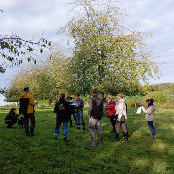Un jury pluridisciplinaire a évalué les pratiques pour départager les candidats de ces concours d'excellence agro-écologique. Crédit photo : CA70