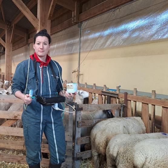 Les constats de gestation, une intervention clef cette année. Crédit photo : CIIRPO