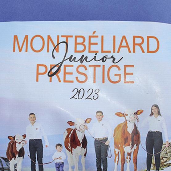 Les organisateurs du concours seront identifiables grâce à leur veste confectionnée spécialement pour l’édition « Montbéliarde prestige junior 2023 ». On y retrouve Emilien Girardet, Louis Bart, Cédric Groshenry et Morgane Bernard.