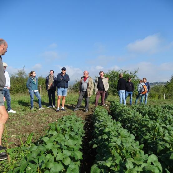 Le soja est une protéagineuse qui présente des intérêts agronomiques et zootechniques.