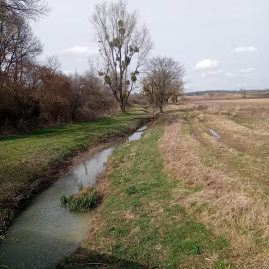 « Entretien des fossés : il faut agir ! » : c'est l'objet de la missive adressée aux élus du département par Emmanuel Aebischer et Louis Wicky. Crédit photo : Matthis Gazillot