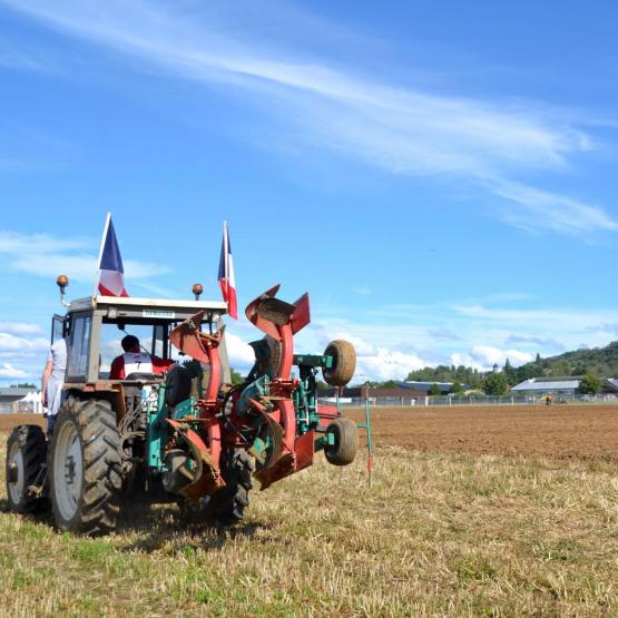 Terres de Jade, la finale régionale des labours, a lieu cette année à Andelnans, dans le Territoire de Belfort. Crédit photo : AC