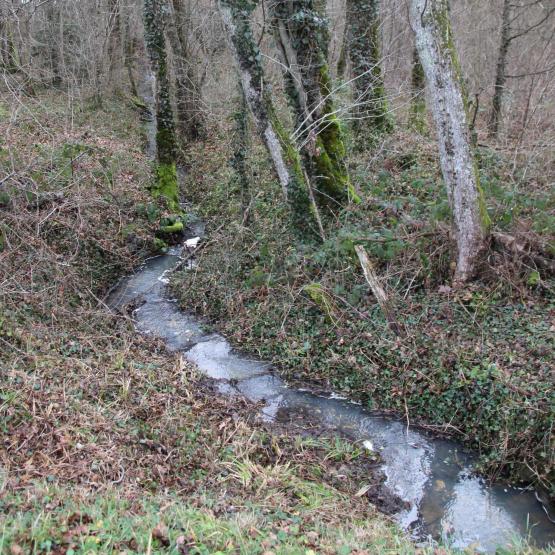 Le texte prévoit la restauration de 25 000 km de cours d'eau