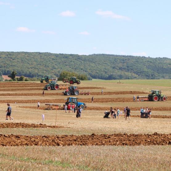 Les participants à la finale des labours ont bénéficié de très bonnes conditions à Boursières. Crédit photo : Stéphane Decaudin