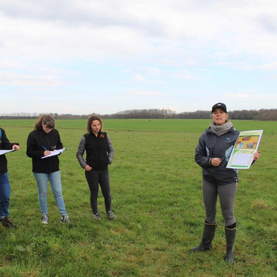 Les participants à la journée "herbe" du 25 mars ont observé la flore et le profil cultural pour mieux comprendre les dysfonctionnements de la prairie. Crédit photo : A.Coronel