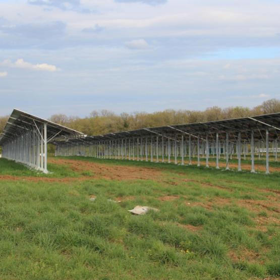 Certaines tables photo-voltaïques ont été équipées de chéneaux, de manière à collecter les eaux de pluies pour l'abreuvement des génisses. Crédit photo : A.Coronel