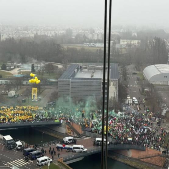 Devant le parlement européen à Strasbourg, les agriculteurs ont exprimé leur refus du traité commercial avec le Mercosur, qui ouvrirait l'UE à une concurrence agricole déloyale.
