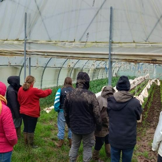 Les productions maraîchères subissent de plein fouet les aléas climatiques. Crédit photo : Paul Voirgard (CA70)