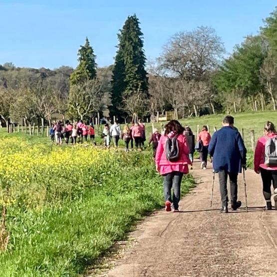 Beau succès pour la 1ère marche rose des agricultrices. Crédit photo : Chloé Guerbert