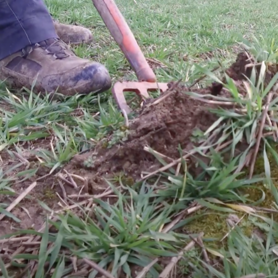 Légende photo : Depuis une décennie qu'ils existent, les GIEE ont permis de faire avancer, de manière collective, la réflexion des agriculteurs sur de nombreux aspects de leurs pratiques.