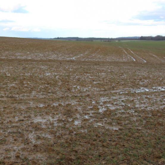 Les conditions météorologiques très pluvieuses contraignent à différer les opérations culturales. Crédit photo : A.Coronel/HSA