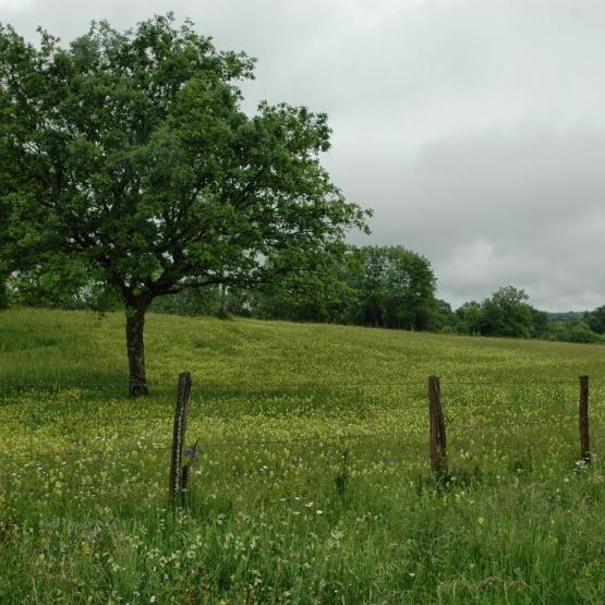Les « jeunes agriculteurs », bénéficiaires de la dotation d’installation ont droit à un dégrèvement de plein droit, de 50 % du montant de la cotisation, pendant les 5 années suivant celle de leur installation. Crédit photo : A.Coronel