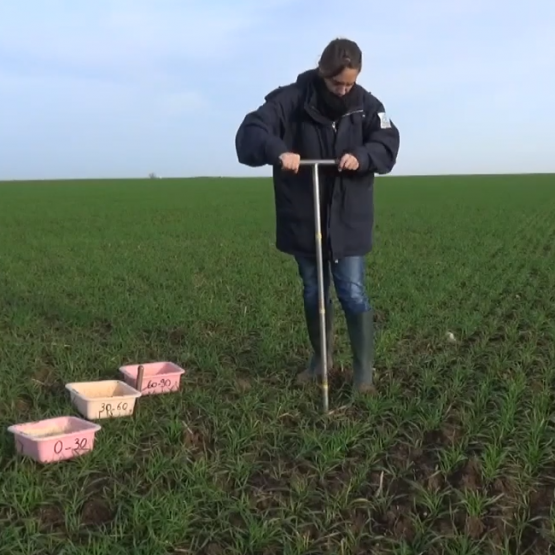 Pour être représentatif de la parcelle, le prélèvement des échantillons de terre destinés à la mesure du reliquat azoté de sortie d’hiver obéit à des règles bien précises.